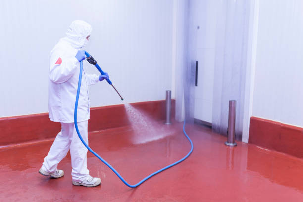 Boat and Dock Cleaning in Fruitland, IA